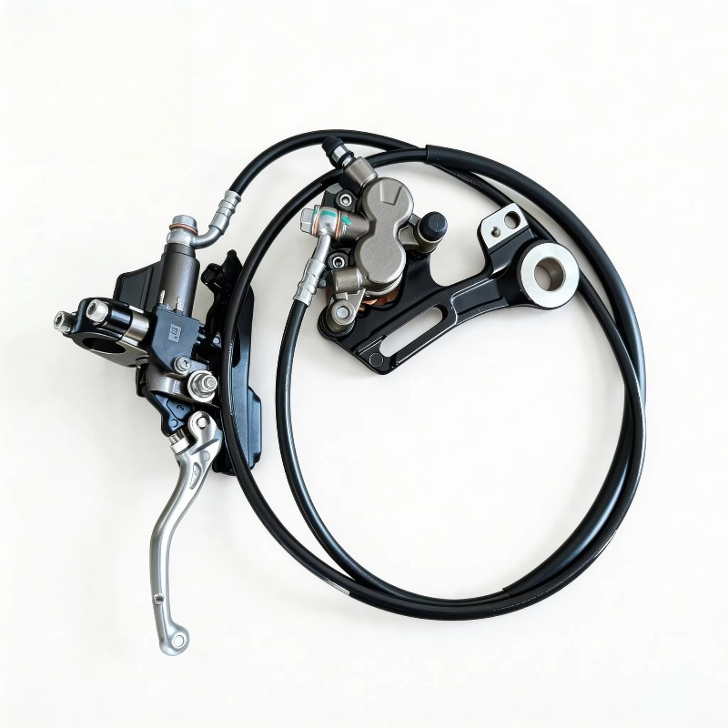 Rear Brake Assemblies + Mounts - Brake Disc Motorcycle ulasan dan harga